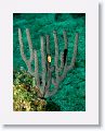 02-UnionIsland - 16